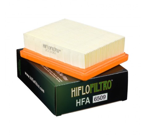 Filtro Aria TRIUMPH BONNEVILLE T120 1200 STREET 900 16-19 HFA6509 Hiflo  T2201057