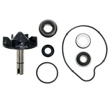 Kit Pompa acqua Tmax 530...