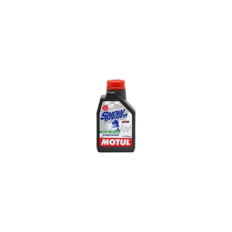 Snowpower 2T 1L Olio Motore - Tempo libero Motul