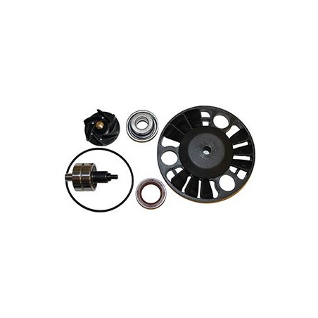 KIT Revisione Pompa acqua APRILIA DERBI GILERA MALAGUTI PIAGGIO