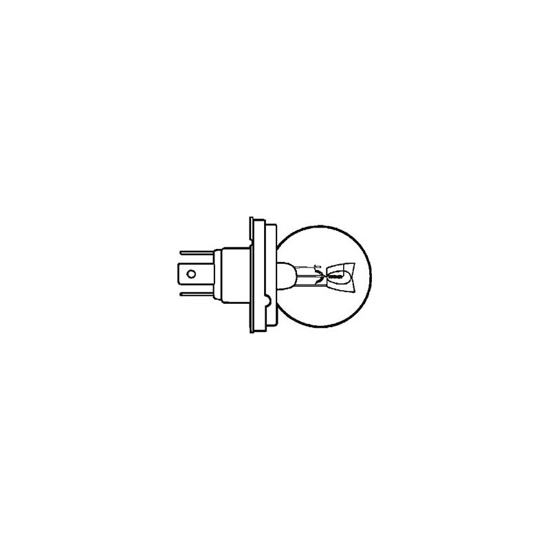 Lampada Lampadina 12v 45/40w P45t ex 09454012