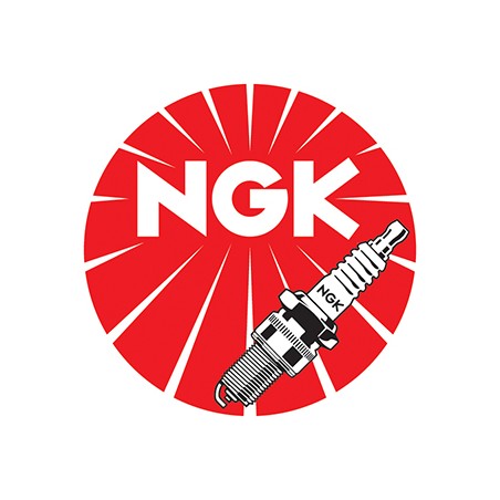 Candela NGK Motoslitta