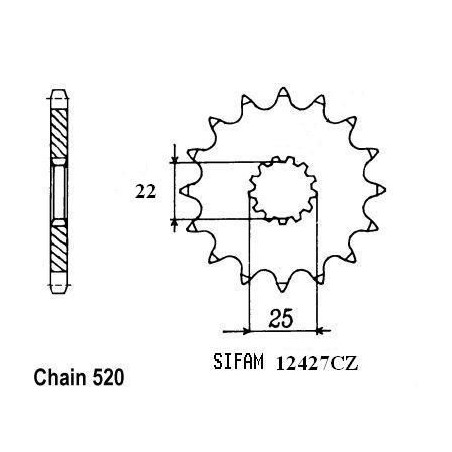 Pignone Tm 250 Enduro -2001 - 520 - 13 Denti