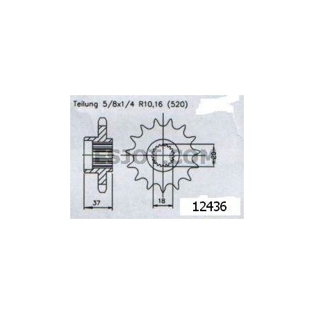 Pignone Quad 125 Aeon 2000-2004 - 520 - 17 Denti