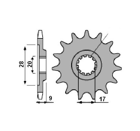 Pignone Hm 50 - 428 - 11 Denti