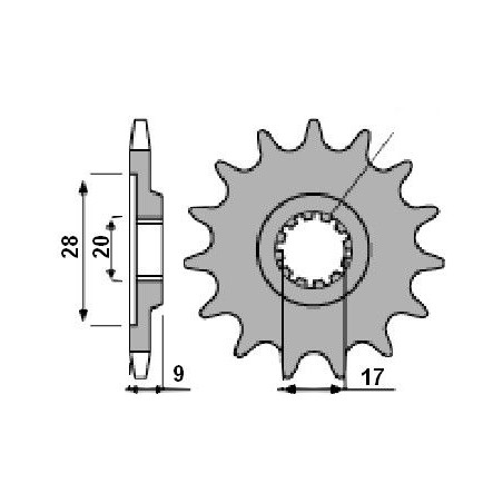 Pignone Hm 50 - 428 - 11 Denti