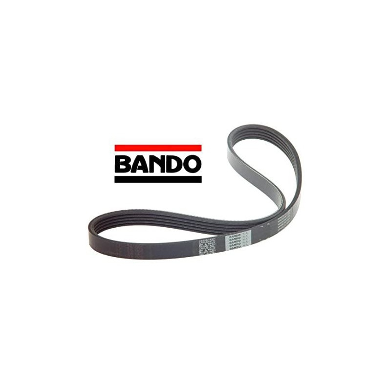 Cinghia Bando