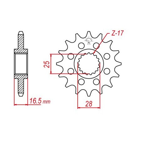 Pignon Esjot Lightweight