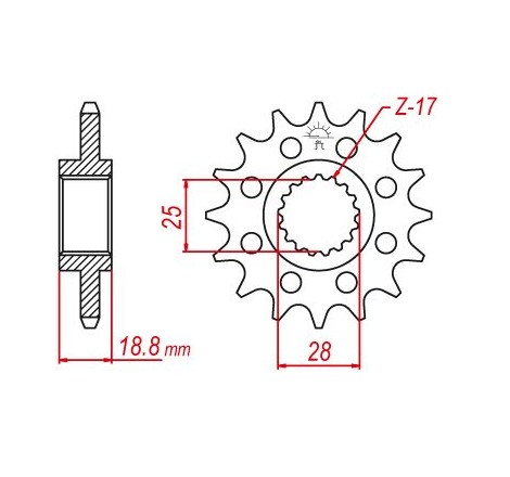 Pignon Esjot Lightweight