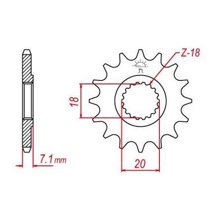 Pignon TT Esjot Lightweight