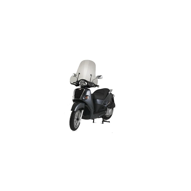 Parabrezza Kymco People 250 -04