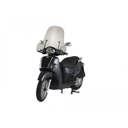 Parabrezza Kymco People 250 -04